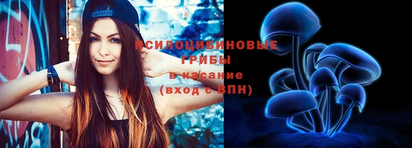 тгк Балахна