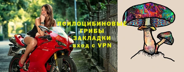 тгк Балахна